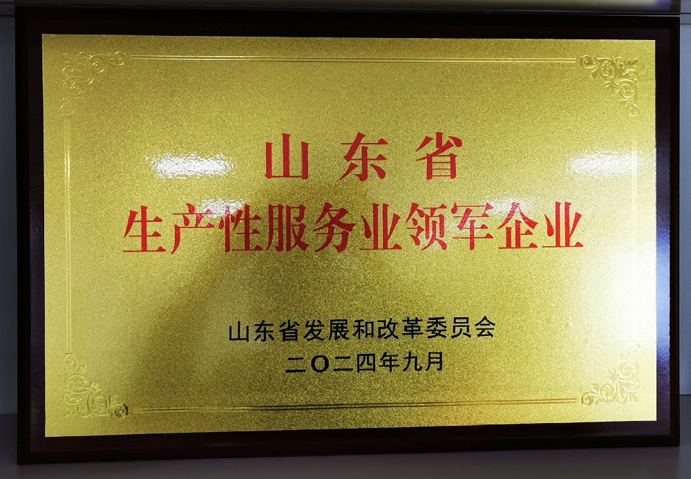 14.山东省服务业领军企业.jpg
